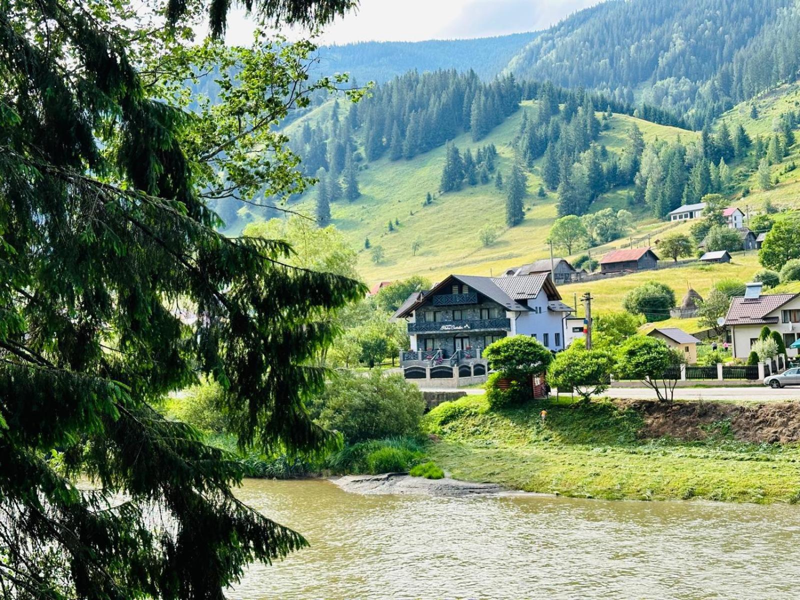 Piatra Codrilor Hotel Dorna Arini Bagian luar foto